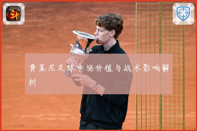 费莱尼足球中场价值与战术影响解析